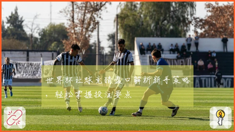 世界杯让球竞猜盘口解析新手策略，轻松掌握投注要点