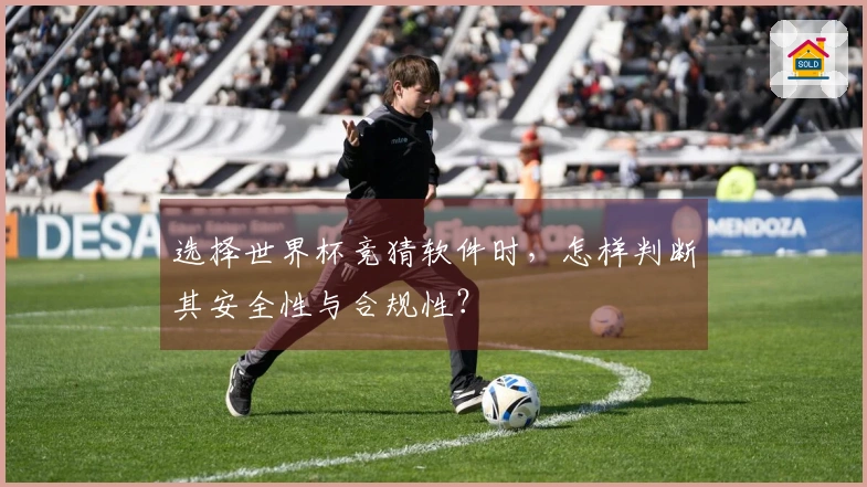 选择世界杯竞猜软件时，怎样判断其安全性与合规性？