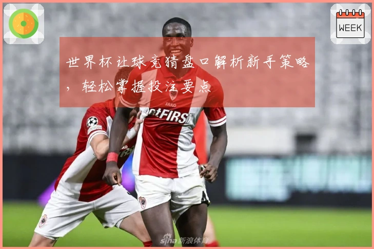 世界杯让球竞猜盘口解析新手策略，轻松掌握投注要点