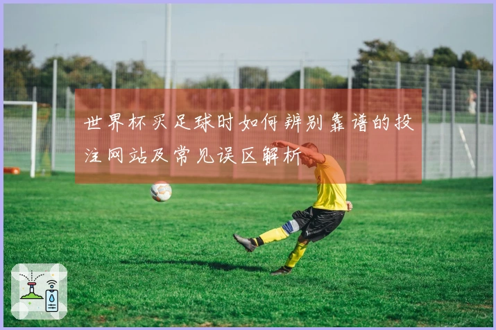 世界杯买足球时如何辨别靠谱的投注网站及常见误区解析