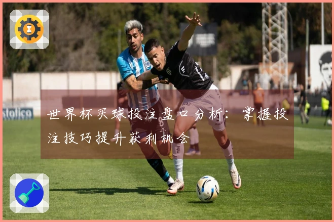 世界杯买球投注盘口分析：掌握投注技巧提升获利机会