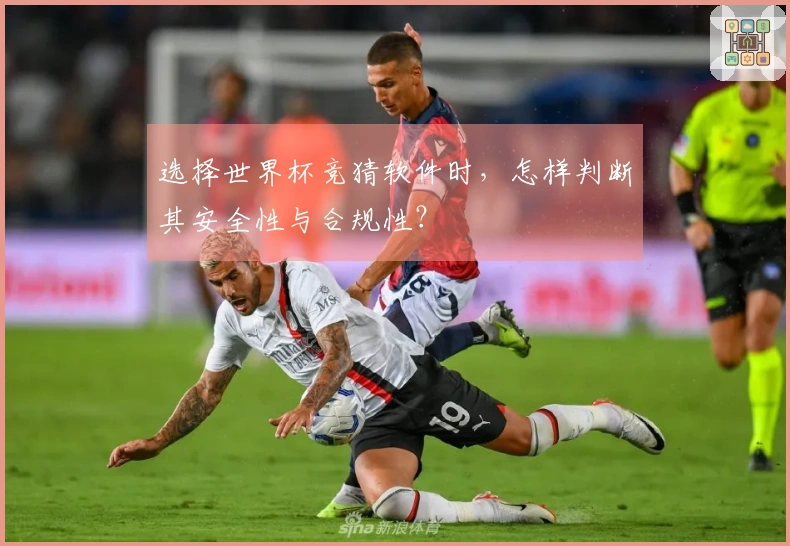 选择世界杯竞猜软件时，怎样判断其安全性与合规性？