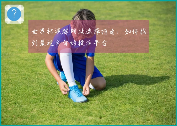 世界杯滚球网站选择指南，如何找到最适合你的投注平台